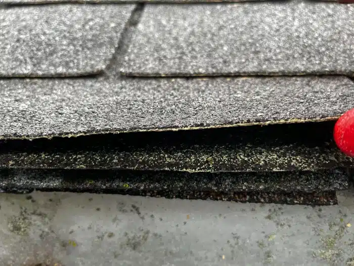 A close-up view of deteriorating asphalt shingles, highlighting key signs of roof damage that sellers should evaluate when considering, should I replace my roof before selling.